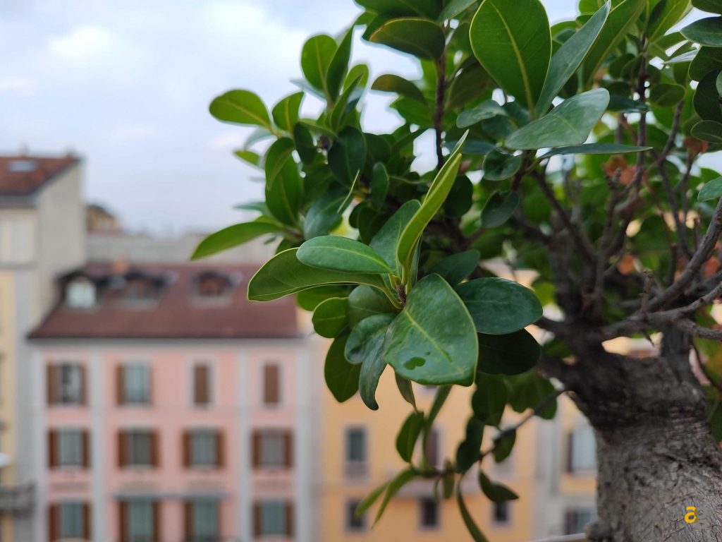 recensione-motorola-edge-30-ultra