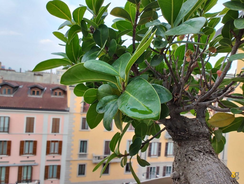 recensione-motorola-edge-30-ultra