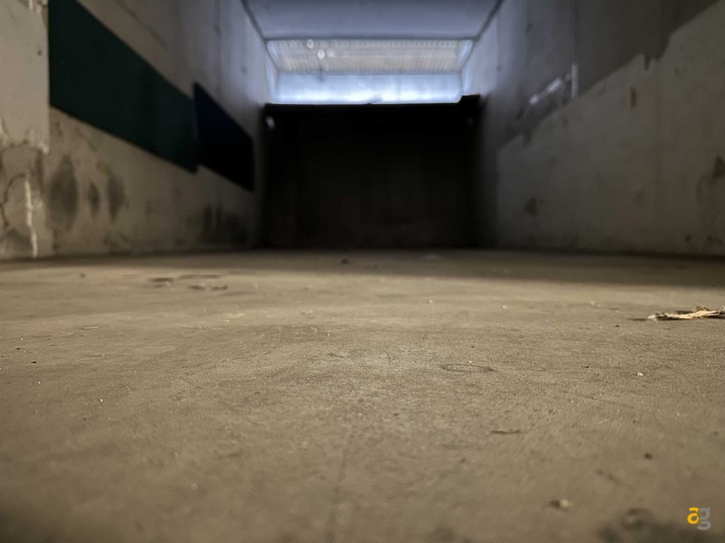 iphone-14-pro-galaxy-s22-ultra-pixel-7-pro-confronto-foto-software-prestazioni