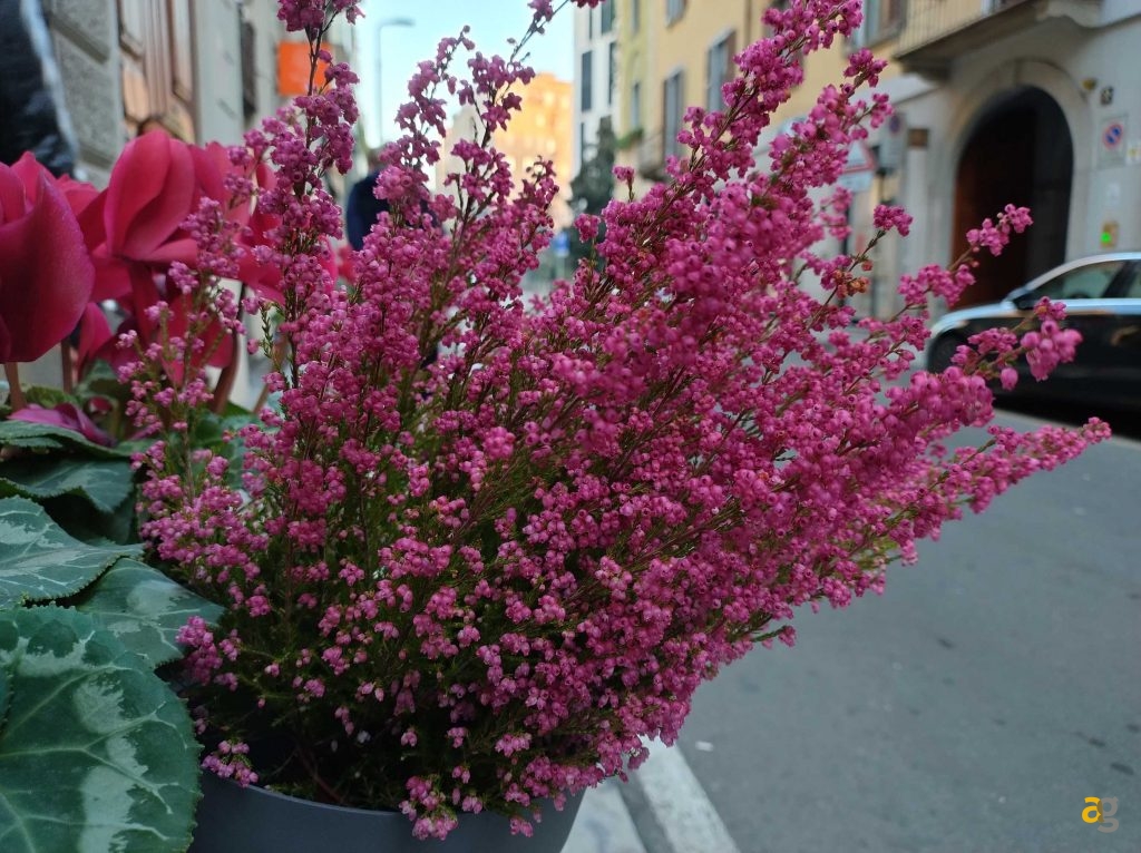 top-smartphone-2022-299-399-euro