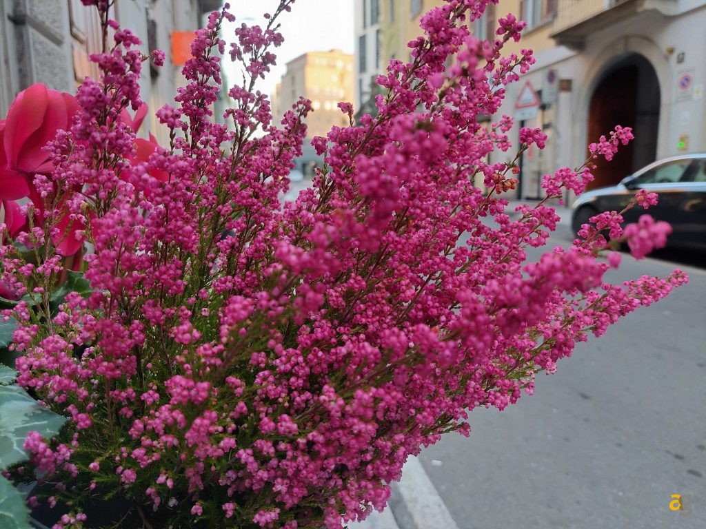 top-smartphone-2022-299-399-euro