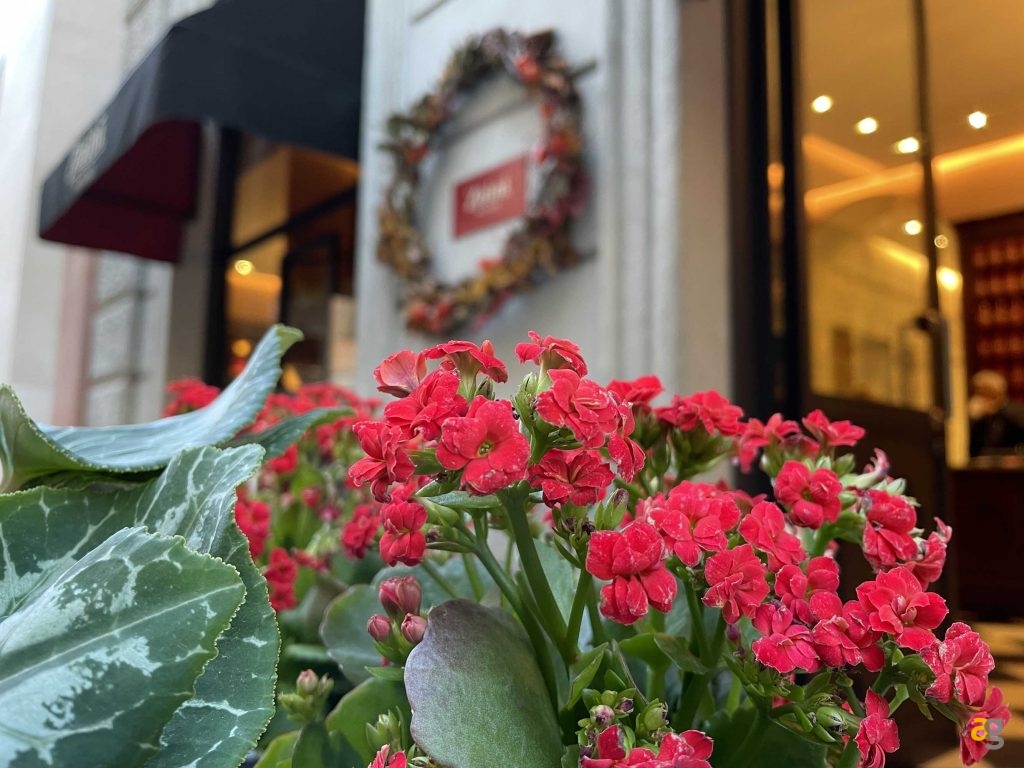 quale-iphone-comprare-per-studenti-muletto-pro