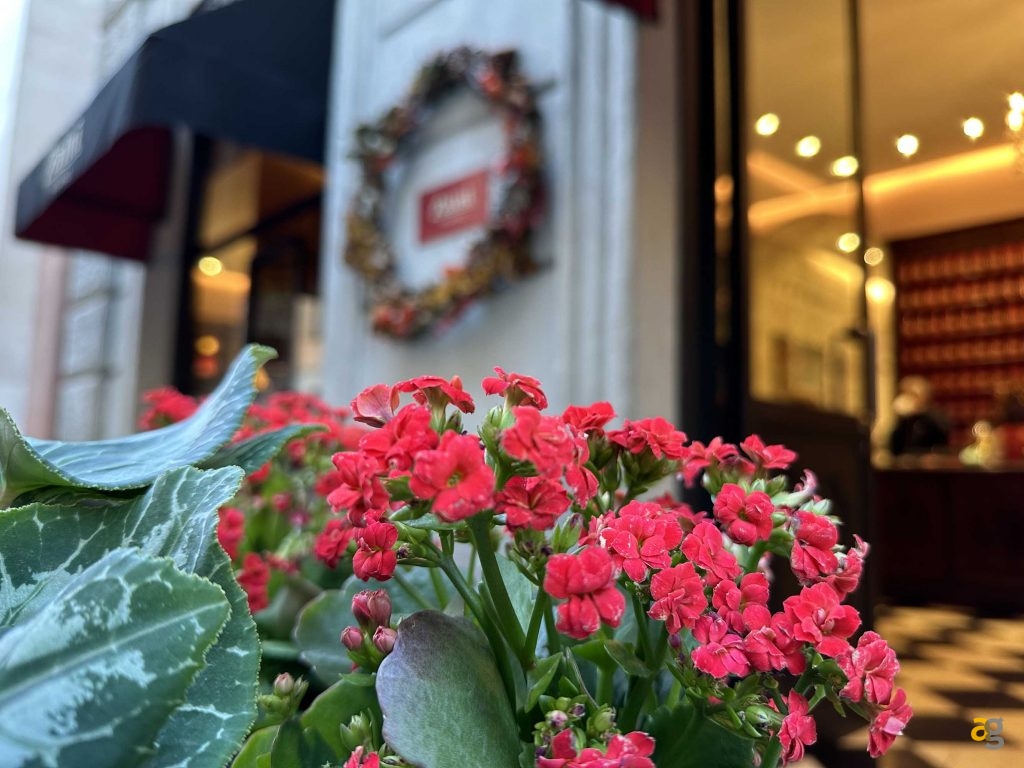 quale-iphone-comprare-per-studenti-muletto-pro