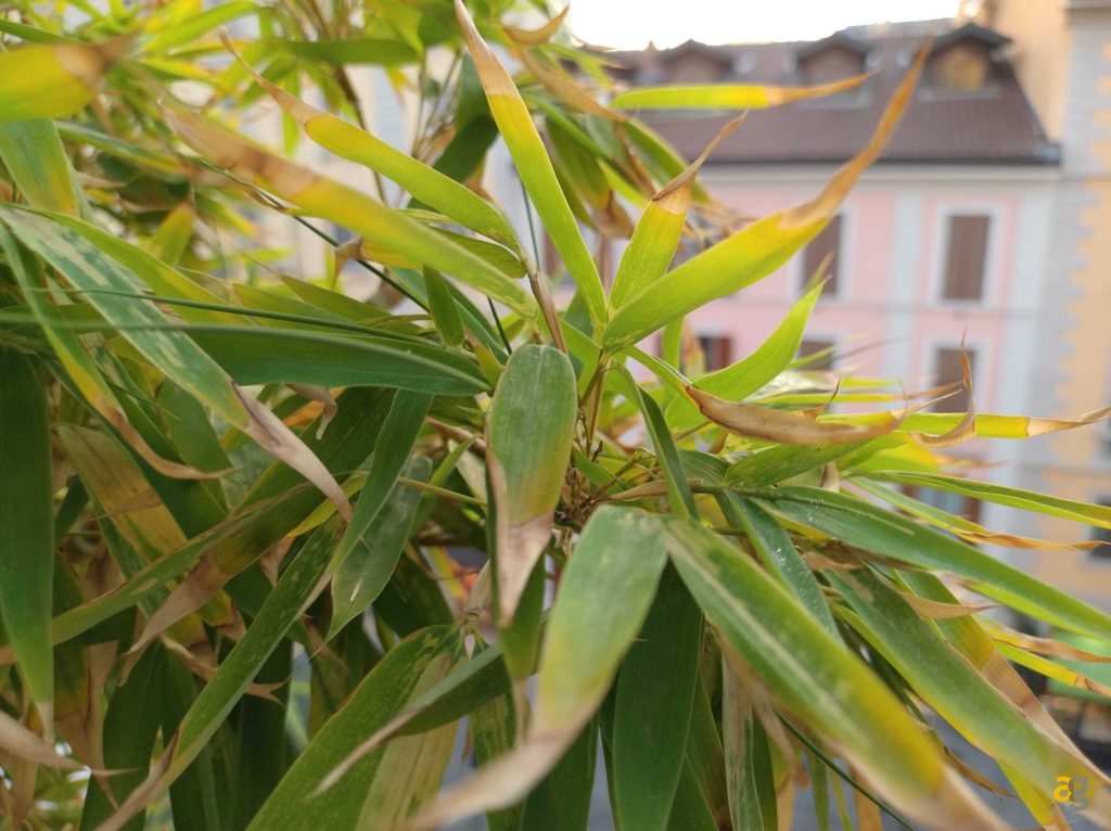 recensione-motorola-edge-30-neo