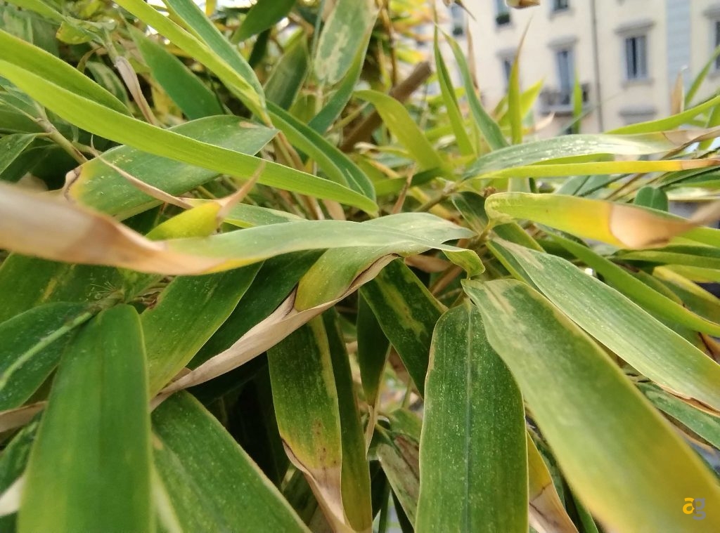 recensione-motorola-edge-30-neo