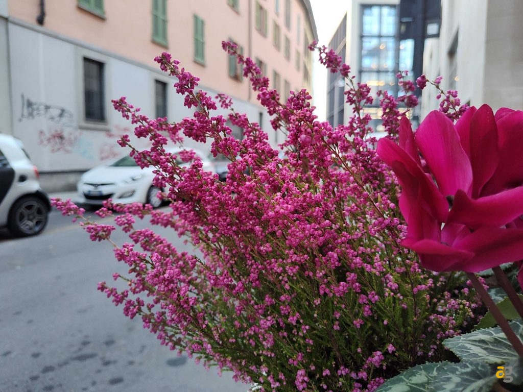 recensione-motorola-razr-2022