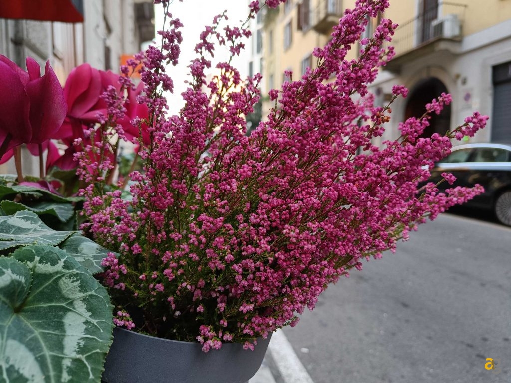 top-smartphone-2022-299-399-euro