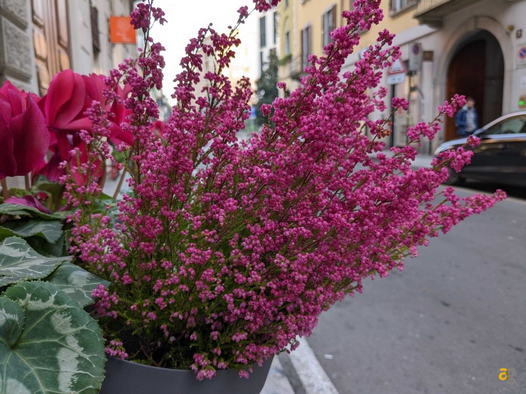 top-smartphone-2022-299-399-euro