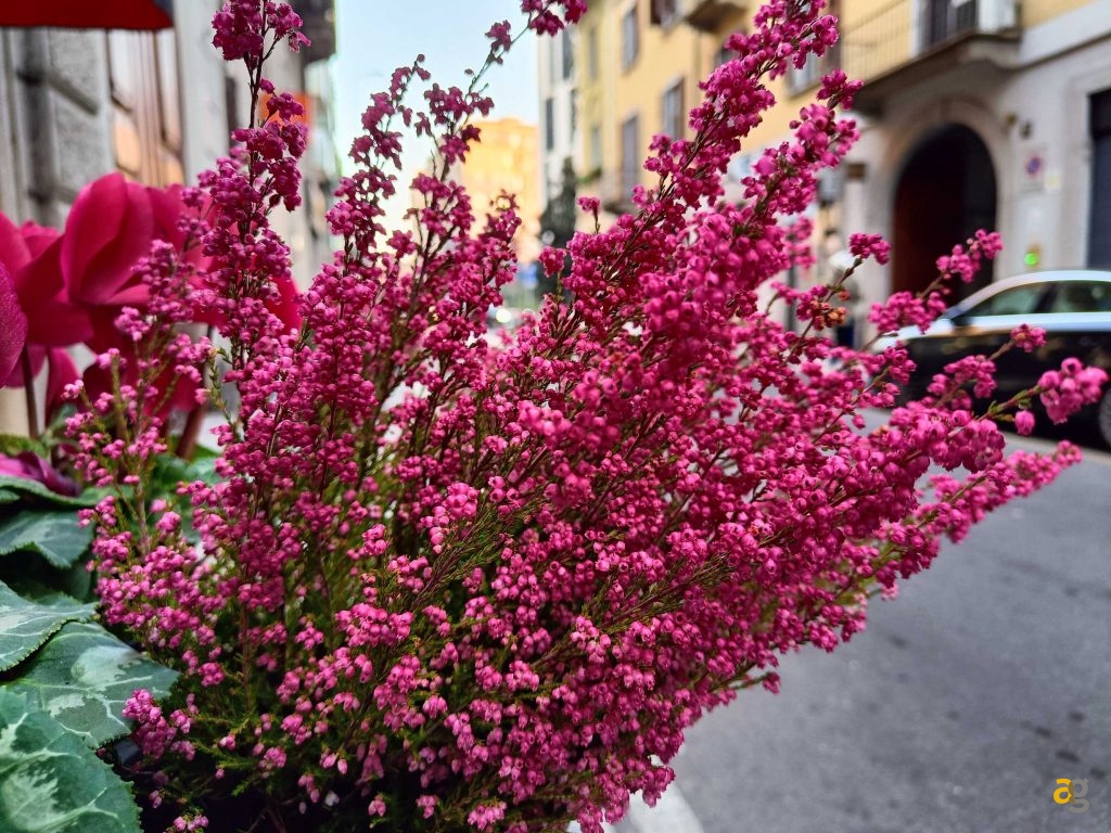 top-smartphone-2022-299-399-euro