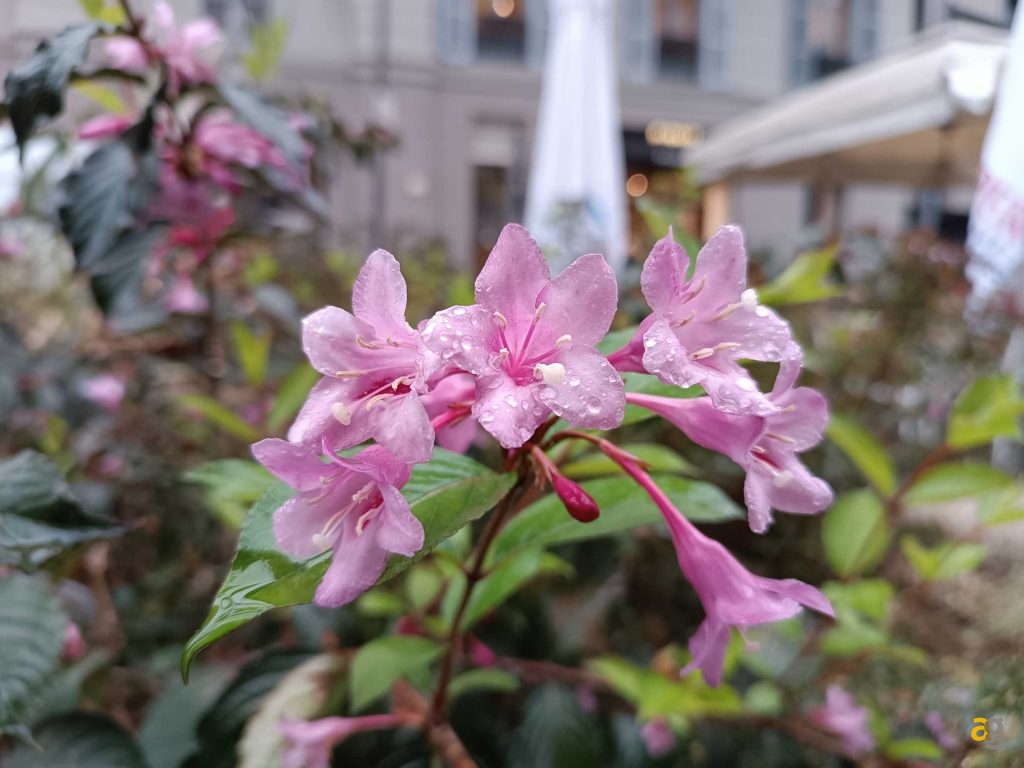 migliori-smartphone-low-cost-2022