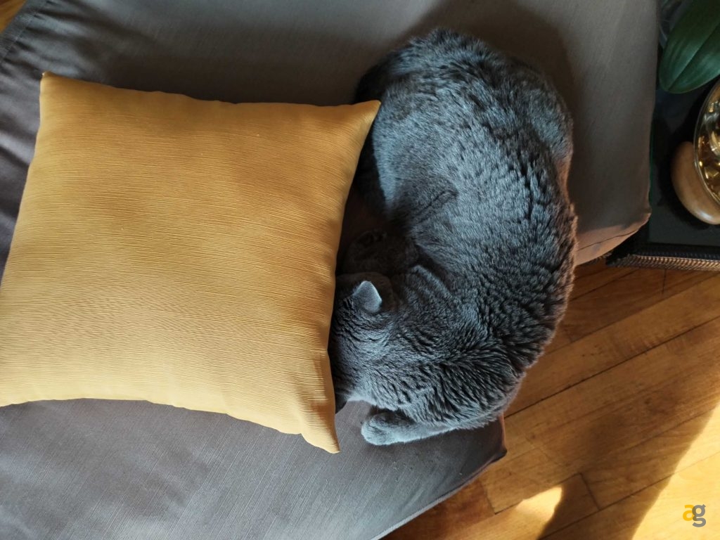 recensione-honor-magic5-lite