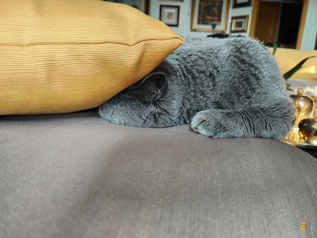 recensione-honor-magic5-lite