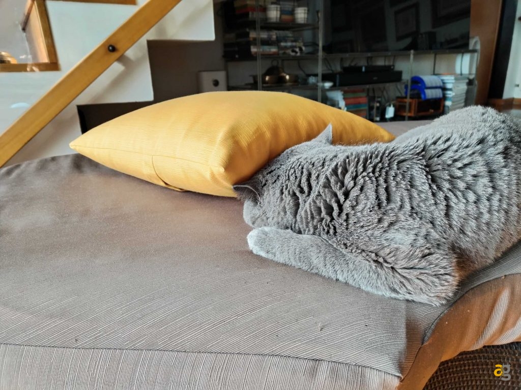 recensione-honor-magic5-lite