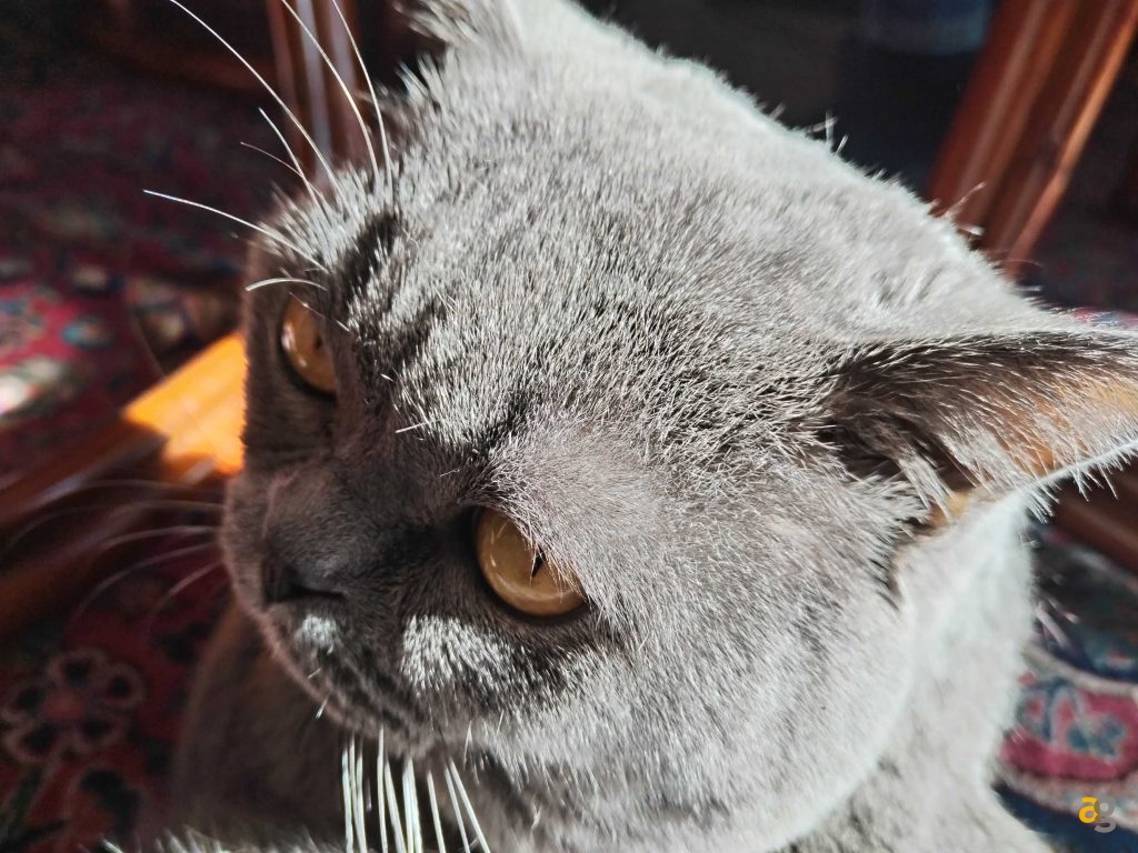 recensione-honor-magic5-lite