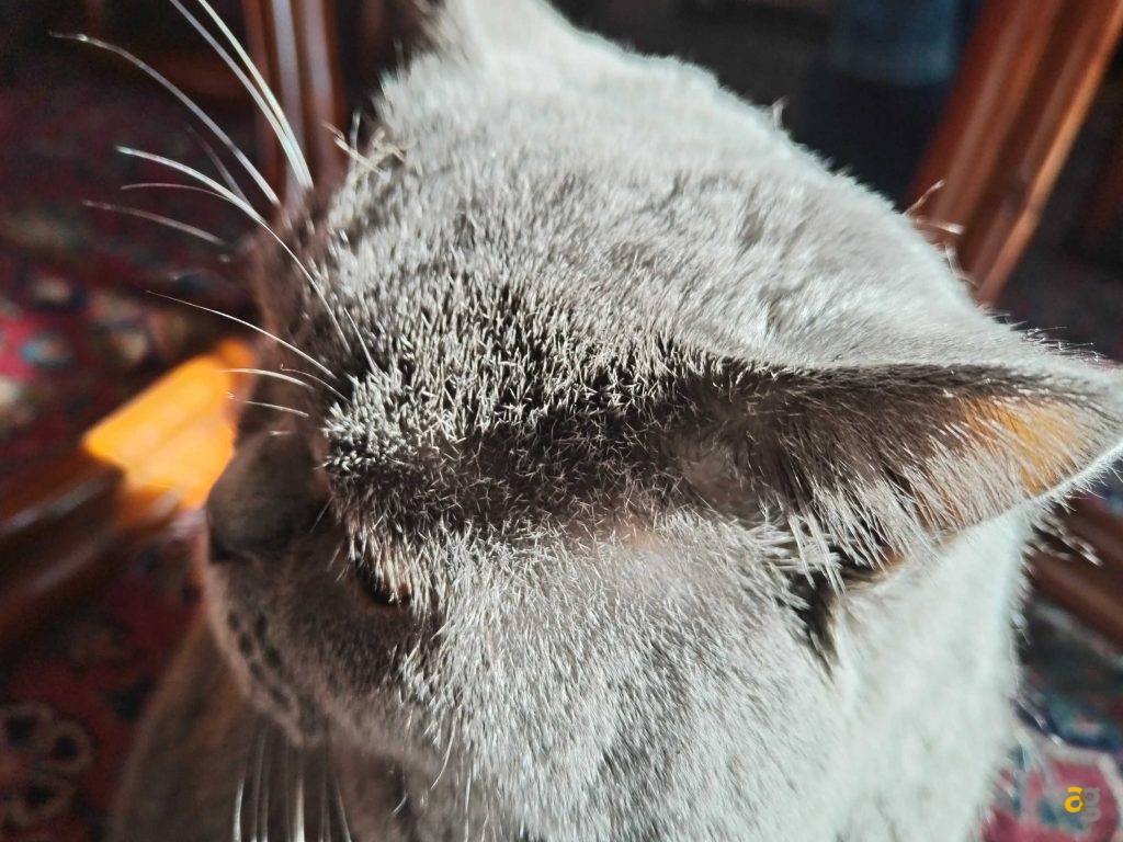 recensione-honor-magic5-lite