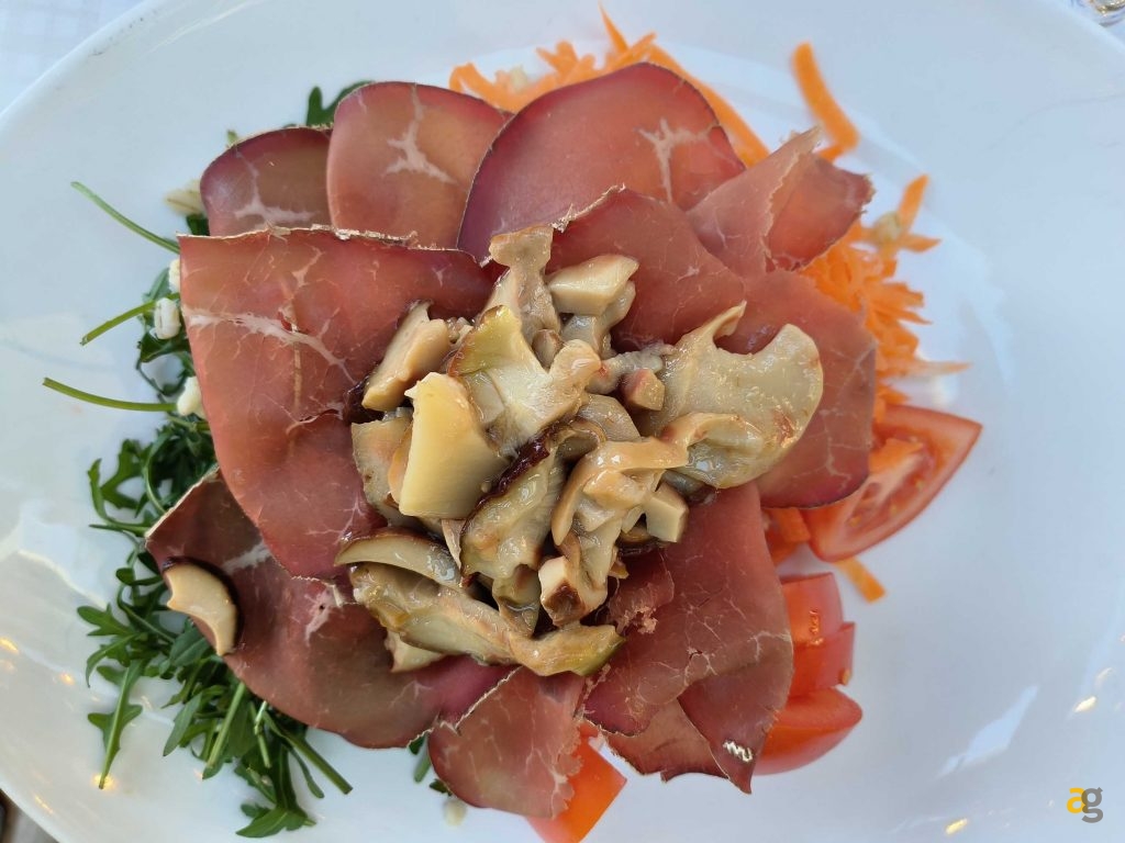 recensione-oppo-find-n2-flip