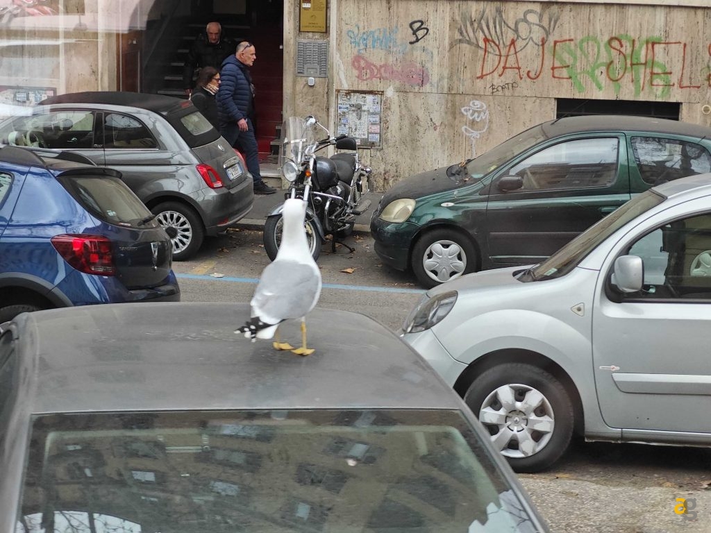 recensione-xiaomi-13-pro