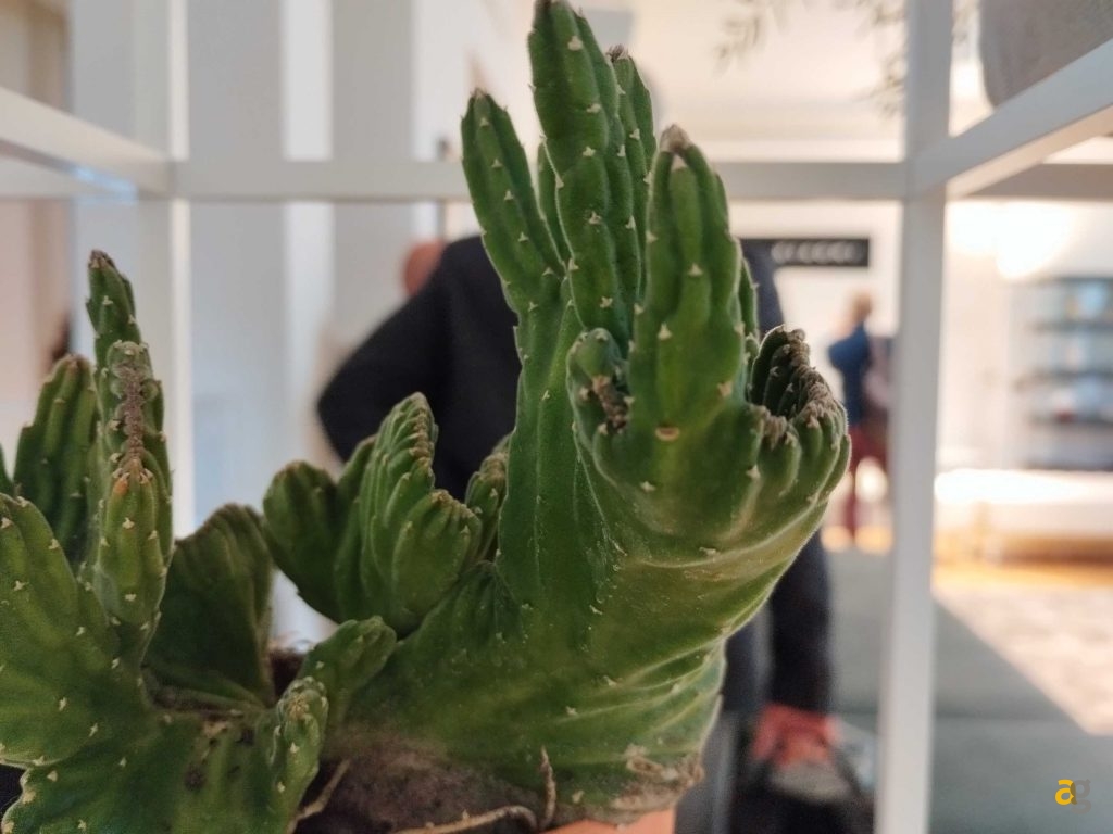 recensione-xiaomi-redmi-note-12-5g