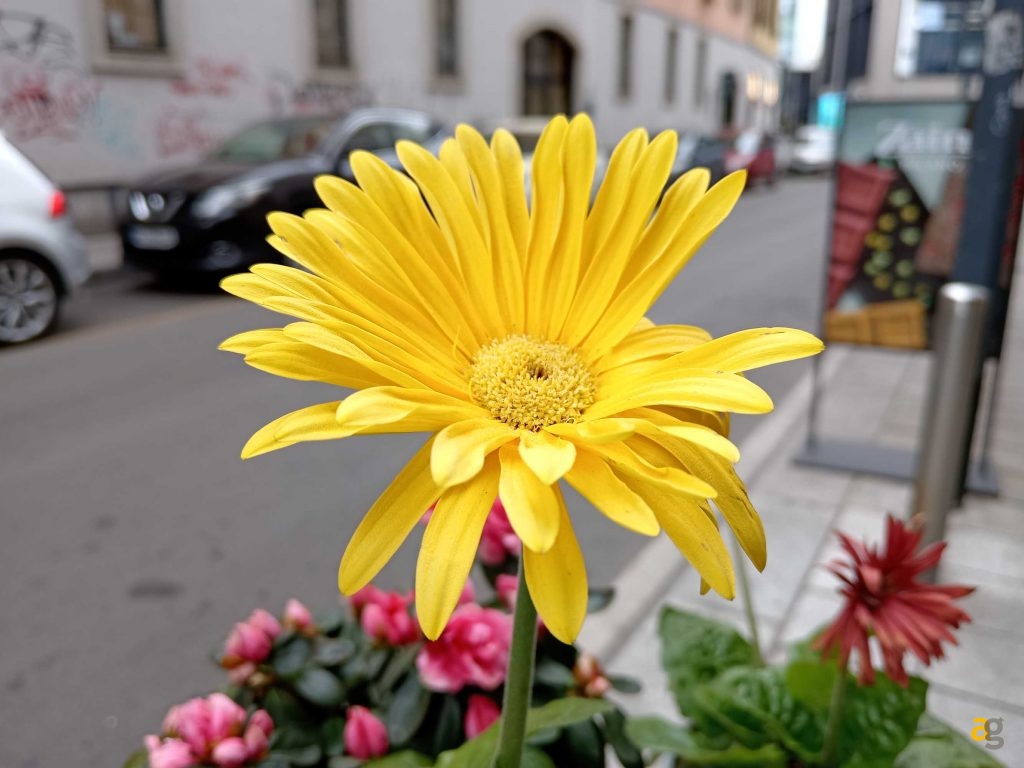 smartphone-da-199-a-279-euro-confronto