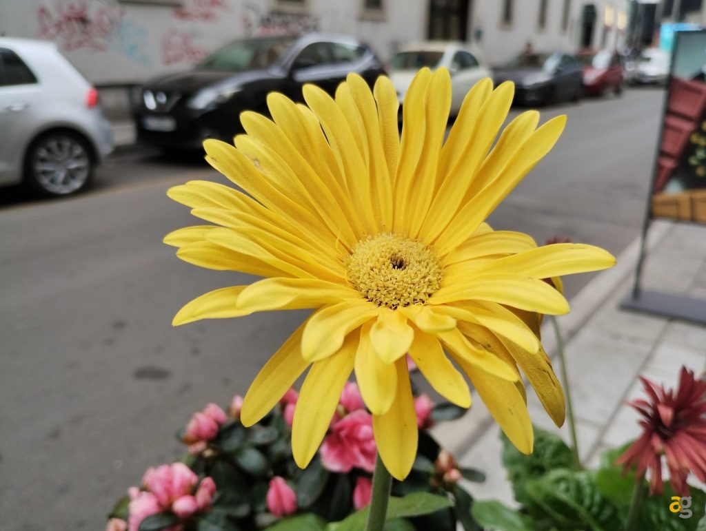 smartphone-da-199-a-279-euro-confronto