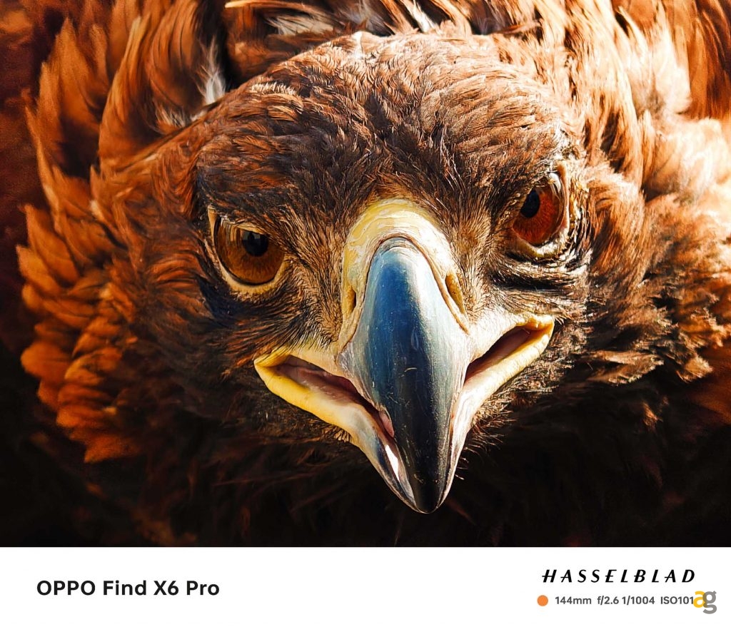 oppo-find-x6-pro-dopo-specifiche-ecco-anche-prime-fotografie-scattate-nuova-camera