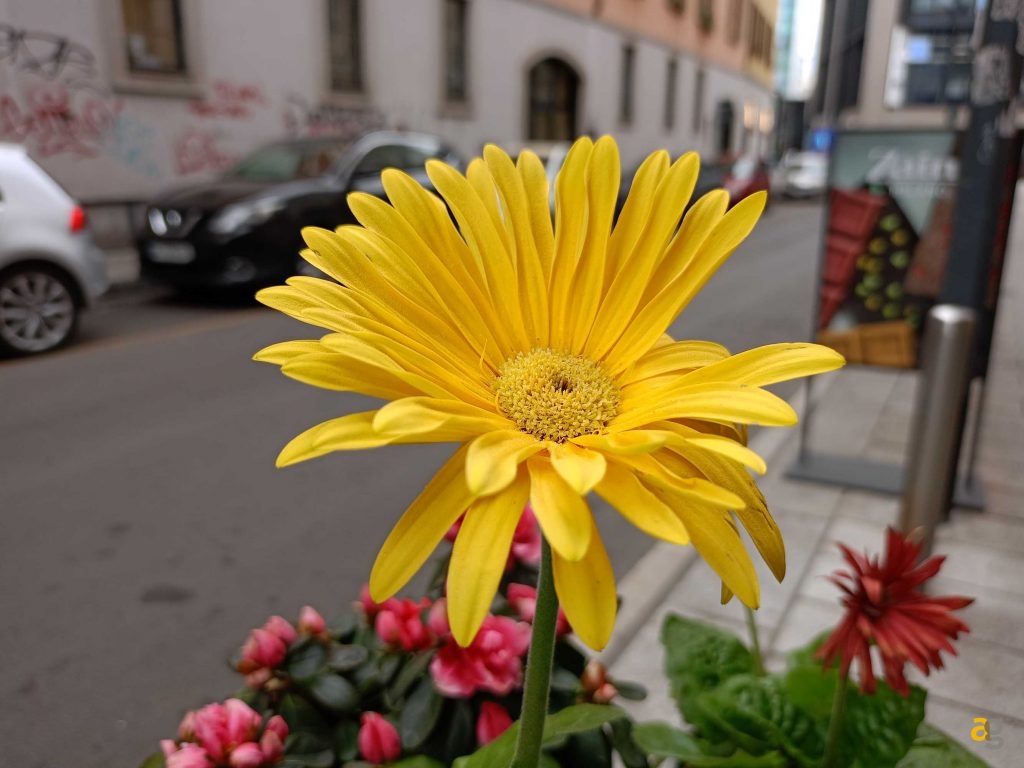 smartphone-da-199-a-279-euro-confronto