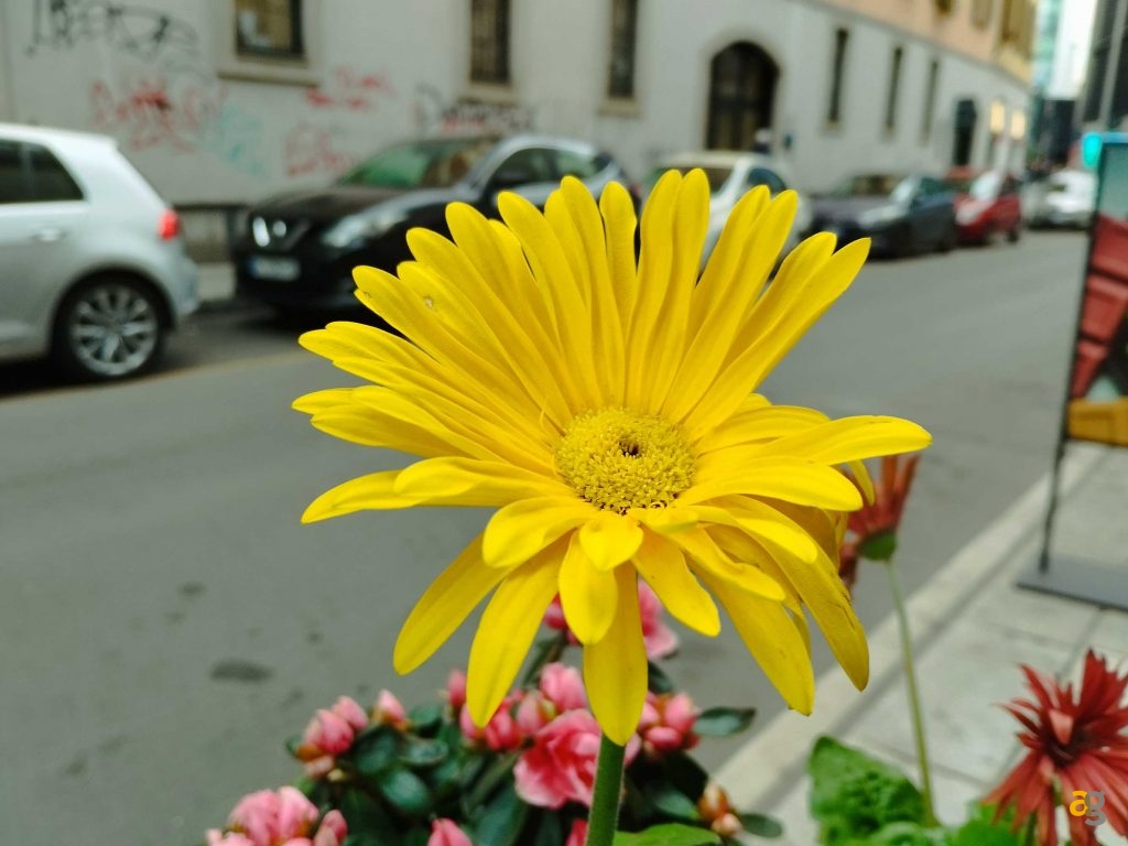 smartphone-da-199-a-279-euro-confronto