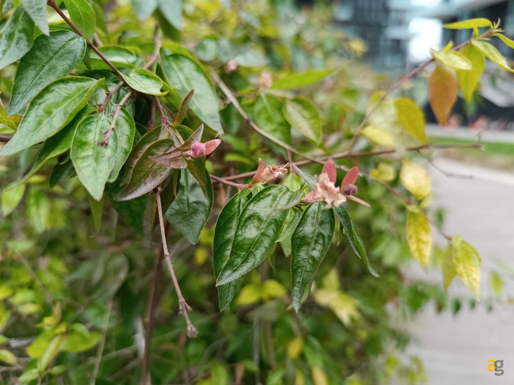 recensione-xiaomi-redmi-note-12-pro