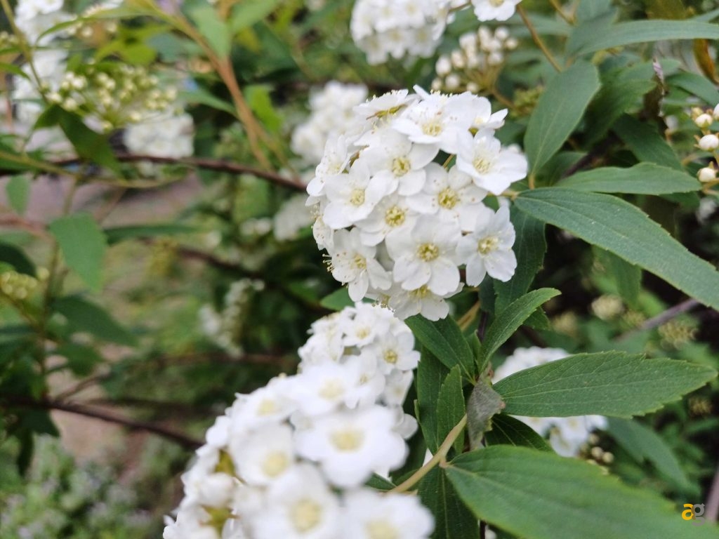 recensione-samsung-galaxy-a34