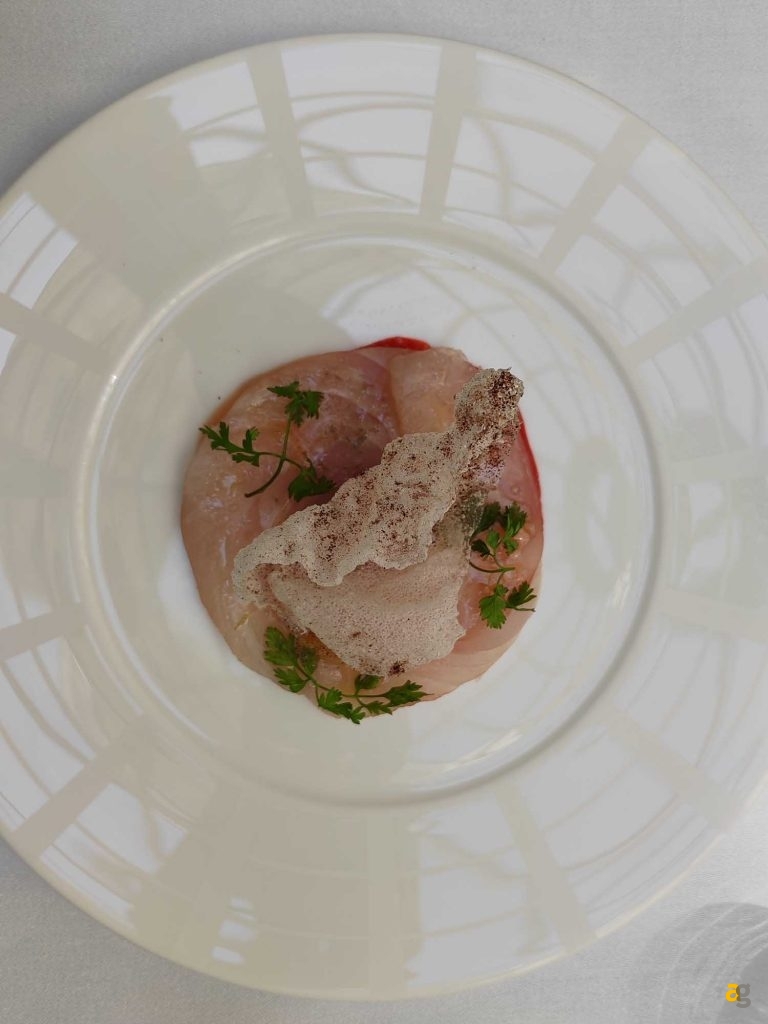 recensione-honor-magic-vs