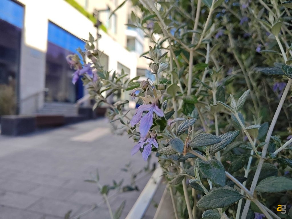 recensione-motorola-edge-40-pro