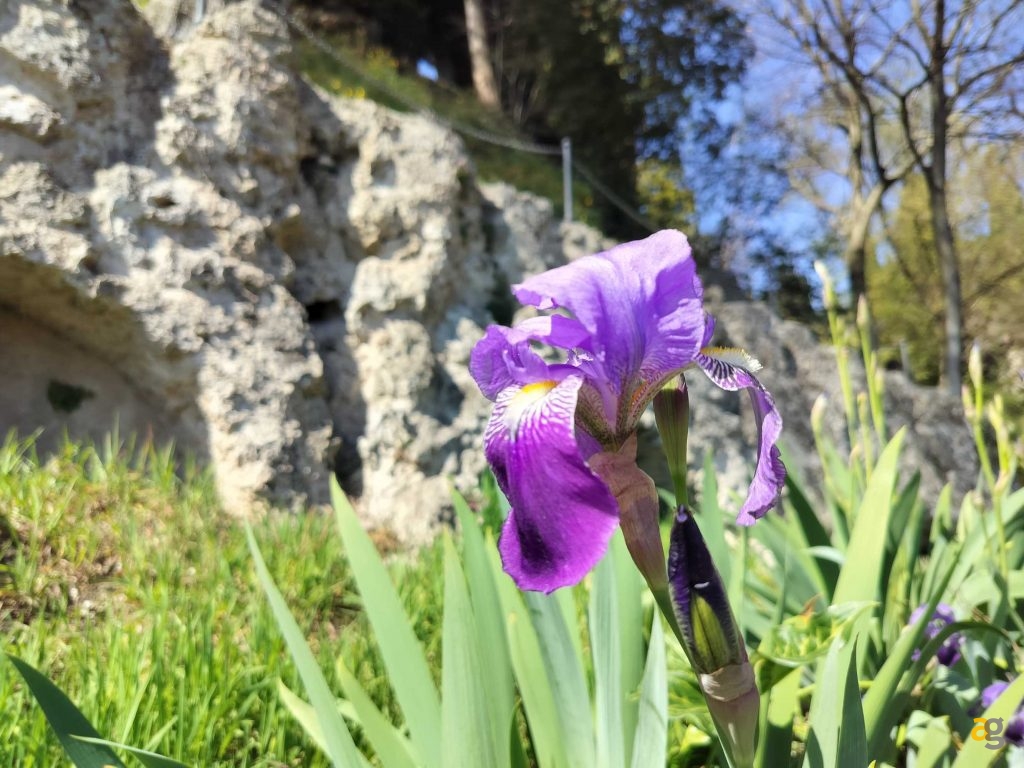 recensione-oneplus-nord-ce-3-lite-5g