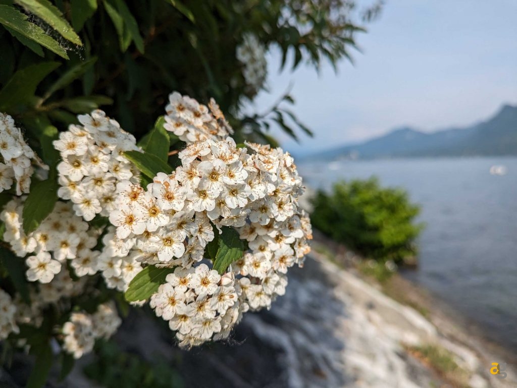 recensione-google-pixel-7a