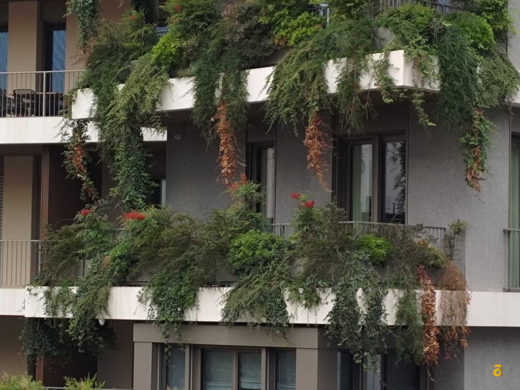 unboxing-crypto-smartphone-saga-solana