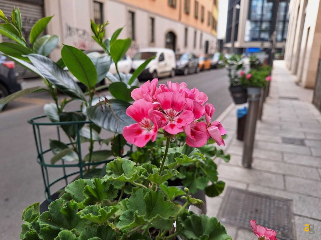 miglior-medio-di-gamma-confronto-realme-redmi-motorola-poco-samsung-google