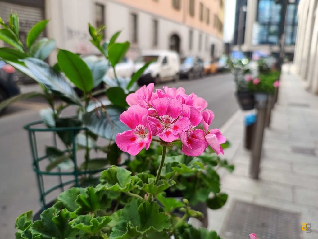 miglior-medio-di-gamma-confronto-realme-redmi-motorola-poco-samsung-google