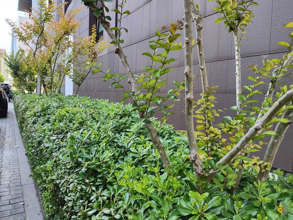 recensione-motorola-razr-40-ultra