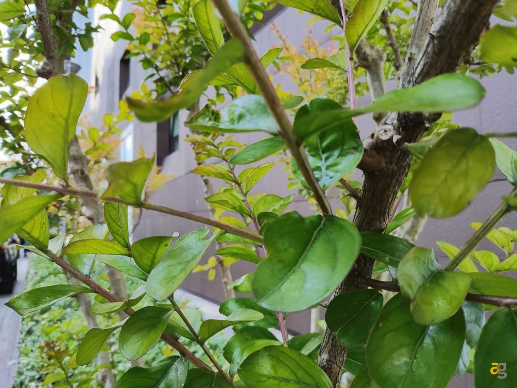 recensione-motorola-razr-40-ultra