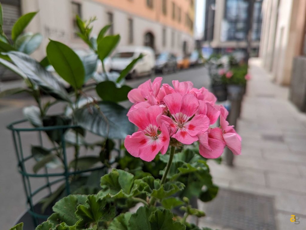 miglior-medio-di-gamma-confronto-realme-redmi-motorola-poco-samsung-google