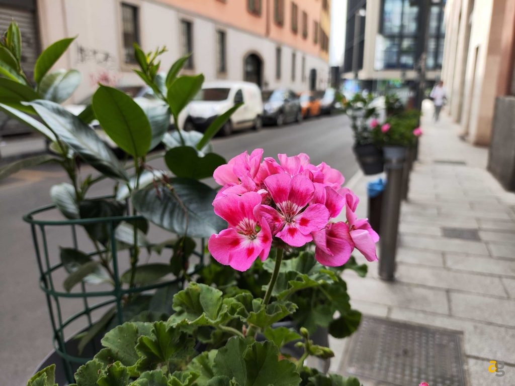 miglior-medio-di-gamma-confronto-realme-redmi-motorola-poco-samsung-google