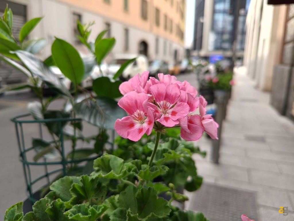 miglior-medio-di-gamma-confronto-realme-redmi-motorola-poco-samsung-google