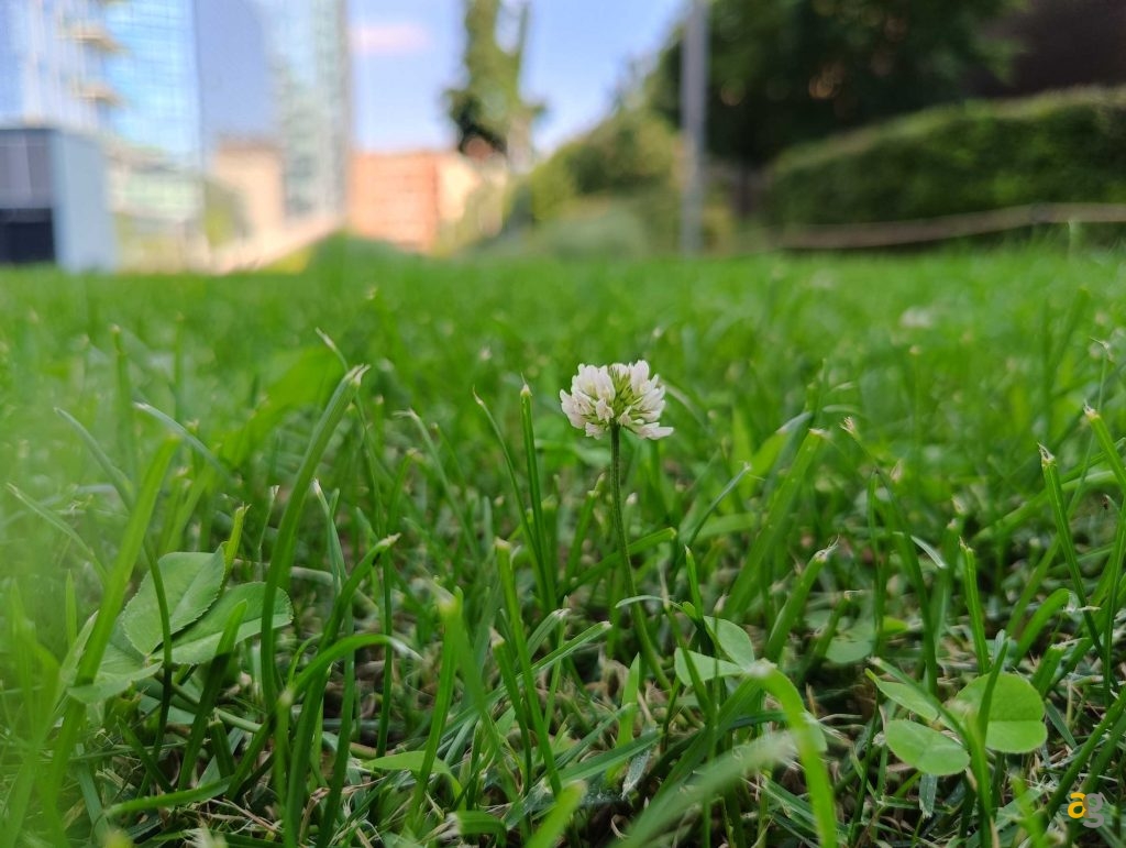 recensione-realme-11-pro