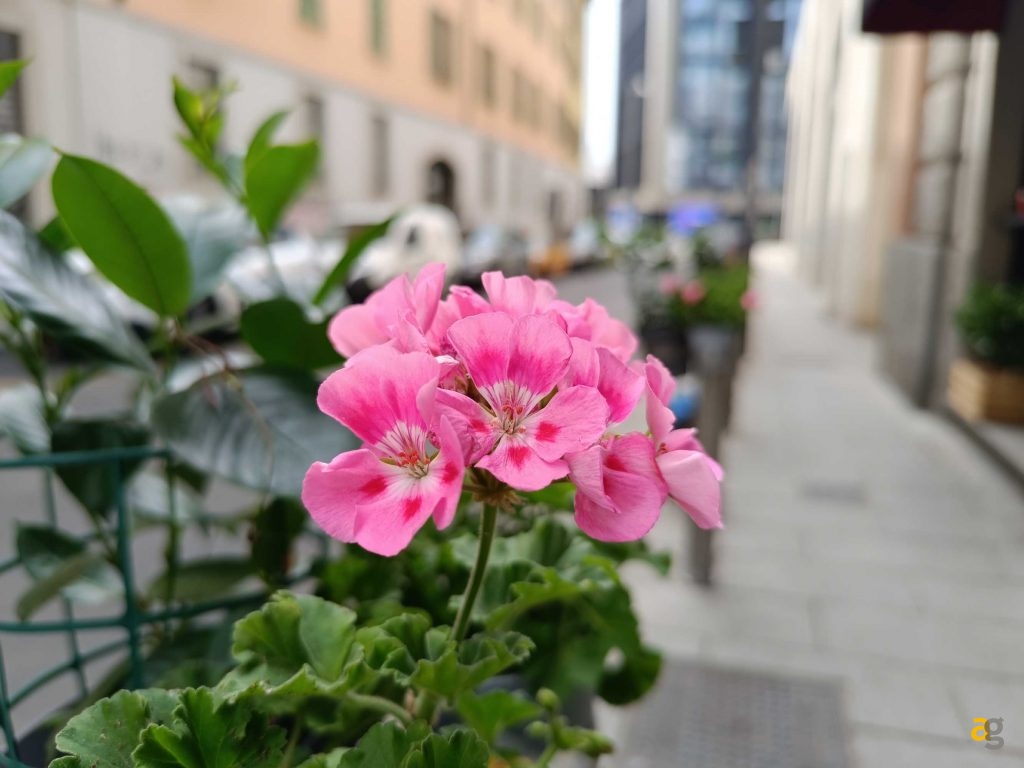 miglior-medio-di-gamma-confronto-realme-redmi-motorola-poco-samsung-google