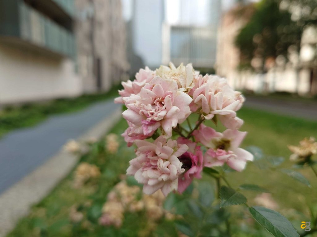 recensione-sony-xperia-1-v