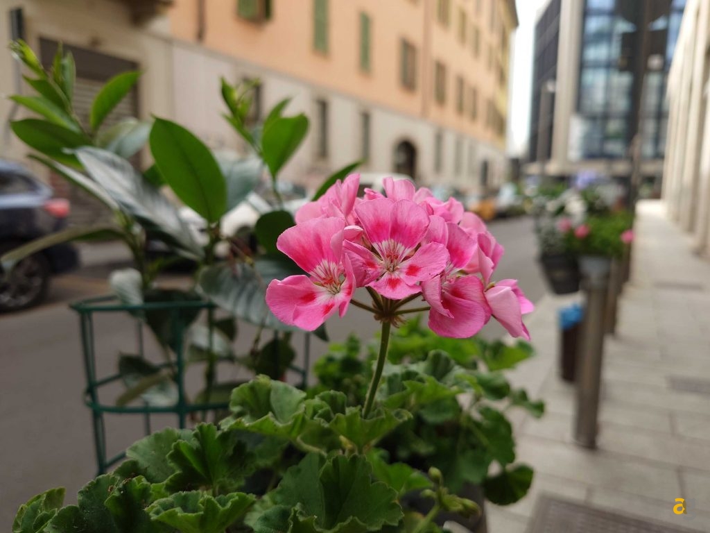 recensione-sony-xperia-1-v