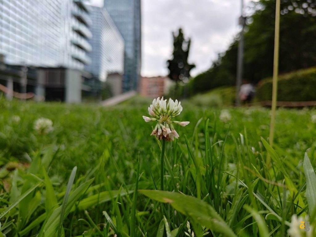 recensione-asus-zenfone-10