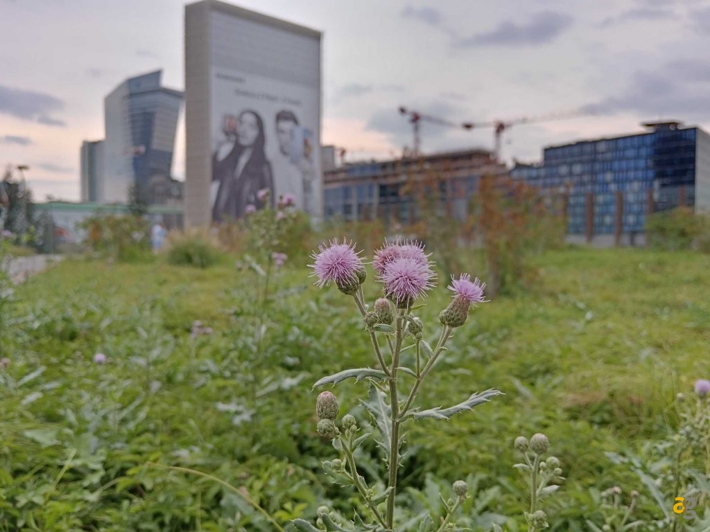 smartphone-entro-299-euro-confronto-realme-11pro-oppo-a98-honor-90-lite-redmi-note-12-pro-poco-x5-pro