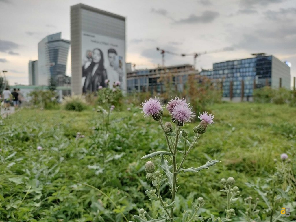 smartphone-entro-299-euro-confronto-realme-11pro-oppo-a98-honor-90-lite-redmi-note-12-pro-poco-x5-pro