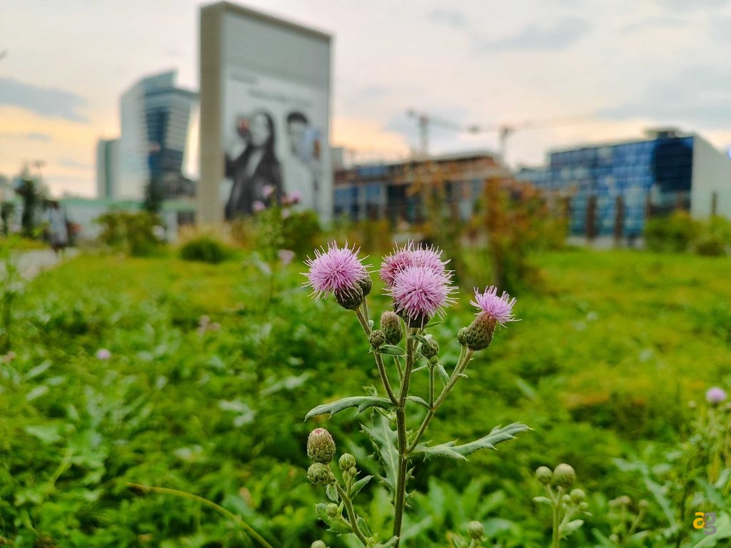 smartphone-entro-299-euro-confronto-realme-11pro-oppo-a98-honor-90-lite-redmi-note-12-pro-poco-x5-pro