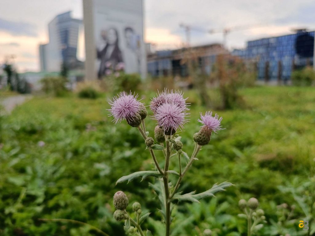 smartphone-entro-299-euro-confronto-realme-11pro-oppo-a98-honor-90-lite-redmi-note-12-pro-poco-x5-pro